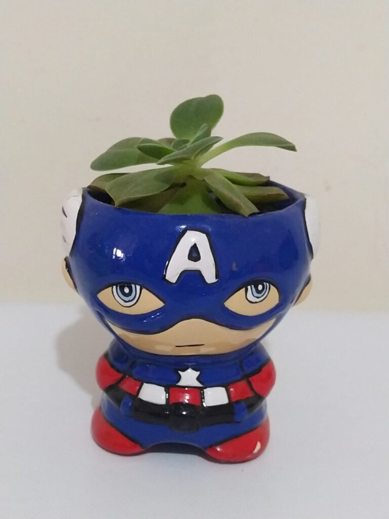 suculenta capitan america, desayunossorpresas.com, desayunos sorpresa a domicilio bogotá, desayunos sorpresa bogotá,