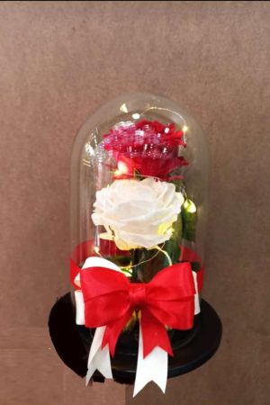 rosas permanentes x2