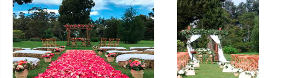 Decoración de eventos 10